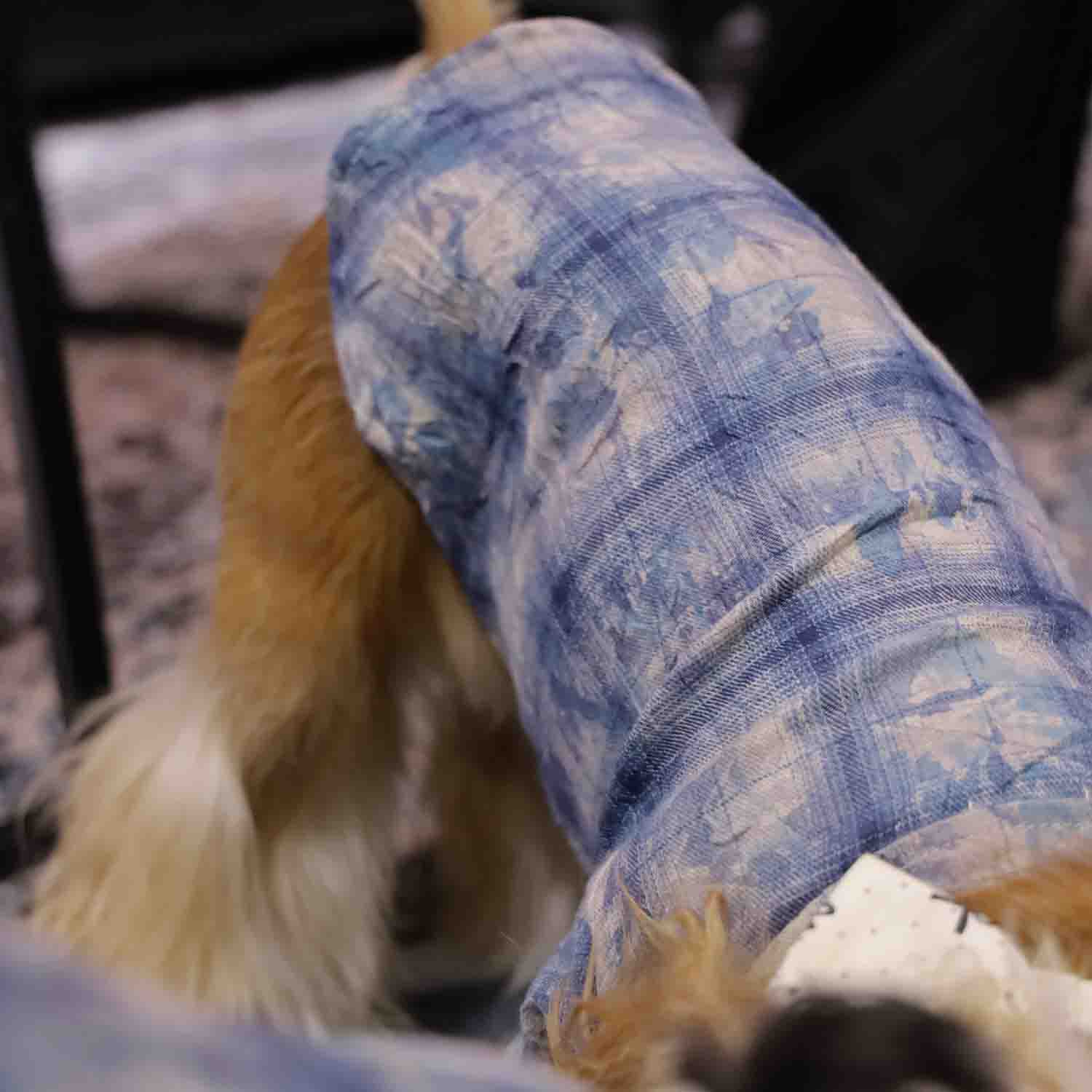 ๐ถ"PawsCube Pet Shirt - Breathable and Skin-friendly, Fashion Print, Street Style, Scratch-resistant, Suitable for Dogs/Cats"